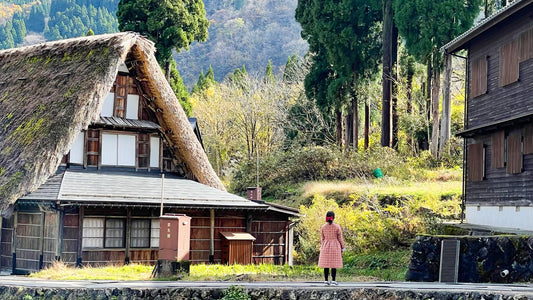 Things To Do In Toyama | Autumn In Japan