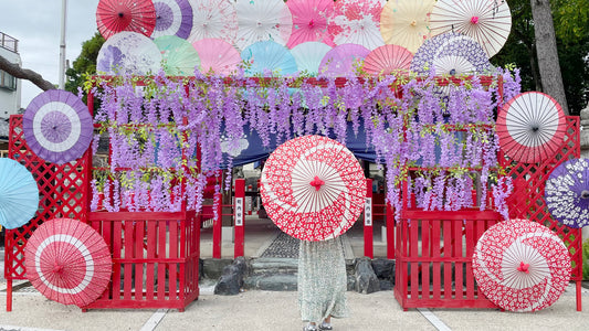 Rainbowholic Travels 🚂 🗺 🧳 🇯🇵🍦